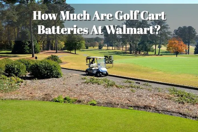 list of the golf cart battereis cost explained and details from walmart